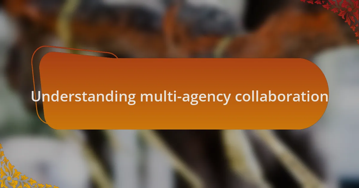 Understanding multi-agency collaboration